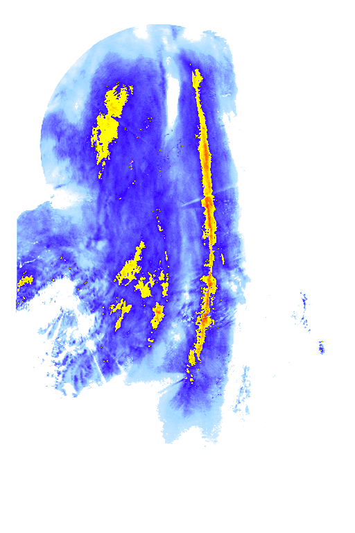 rainLayer