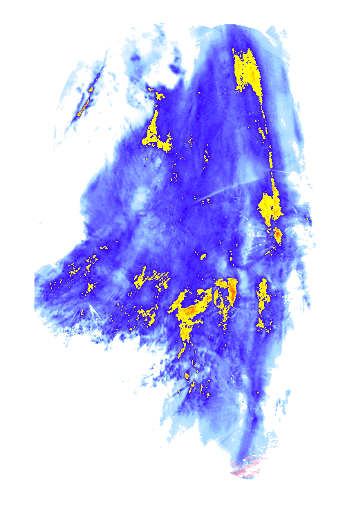 rainLayer
