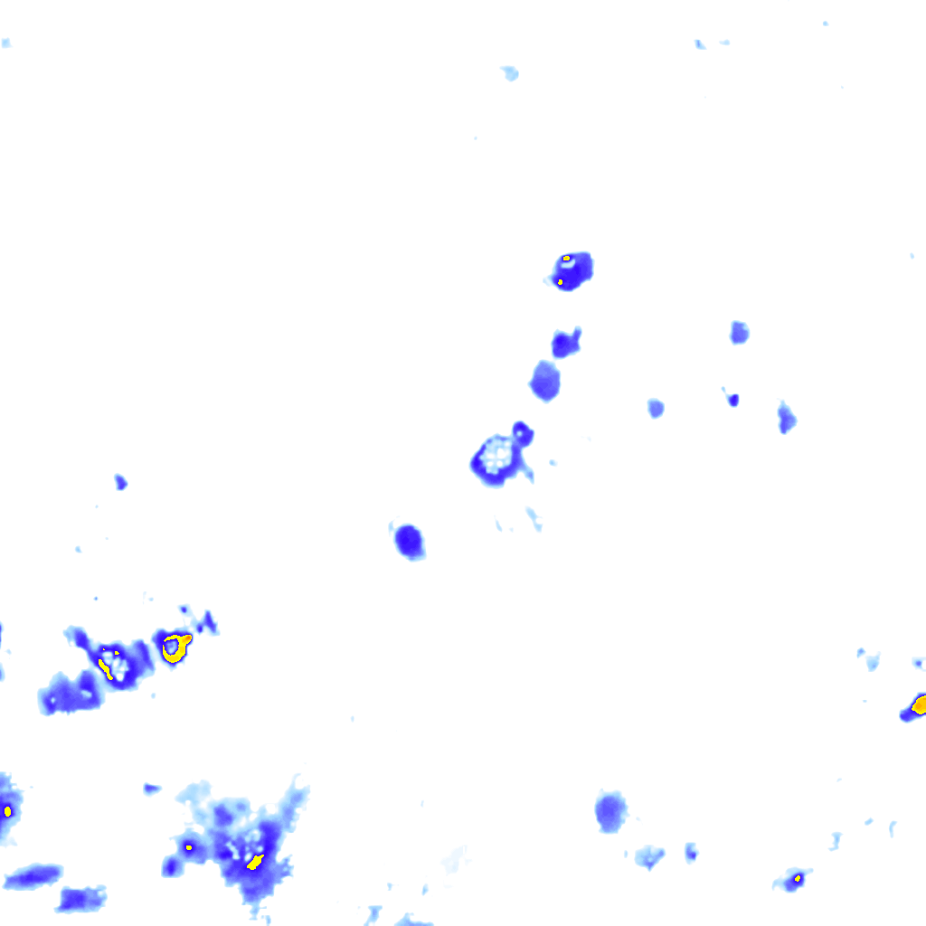 Image Layer