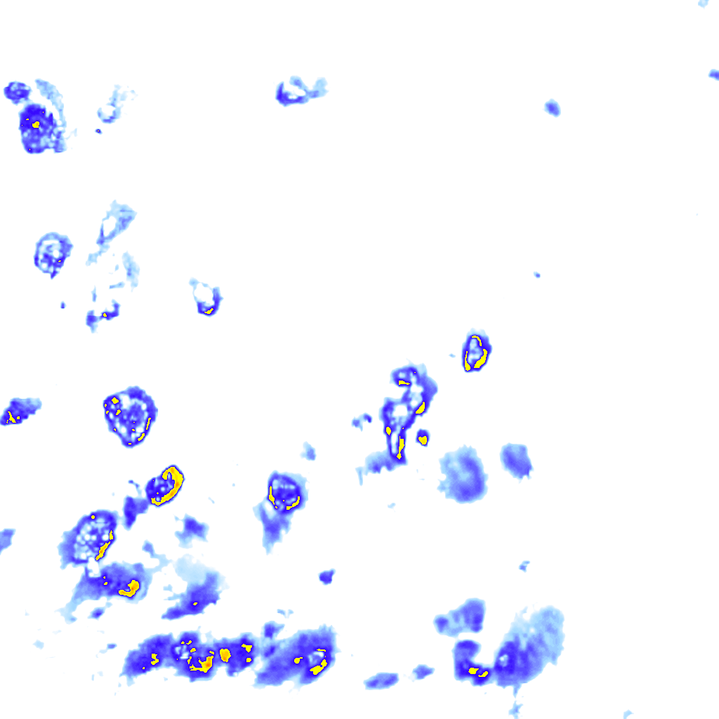 Image Layer