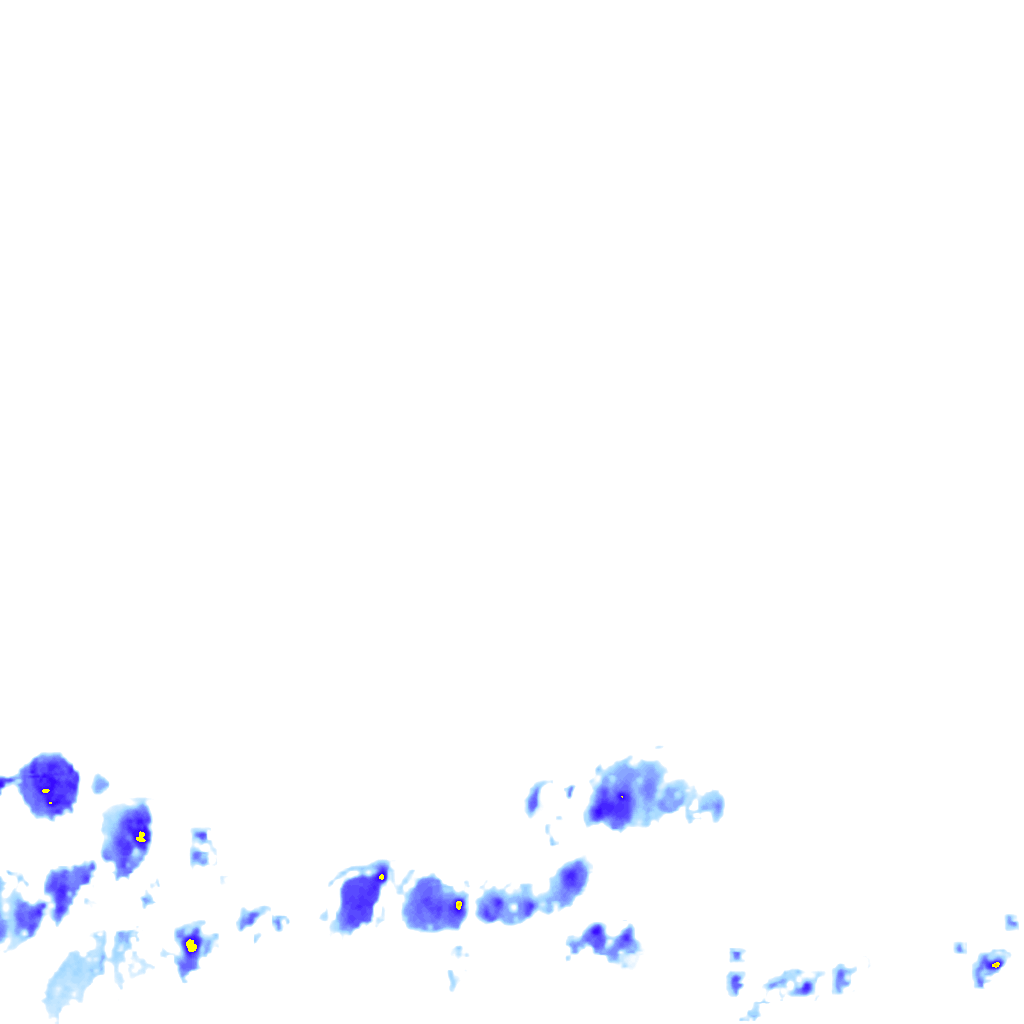 rainLayer