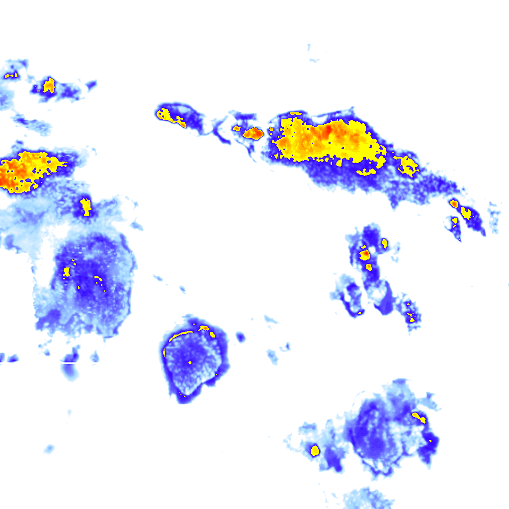 rainLayer