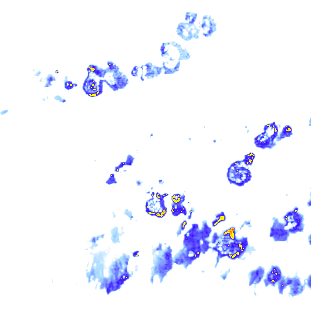 Image Layer