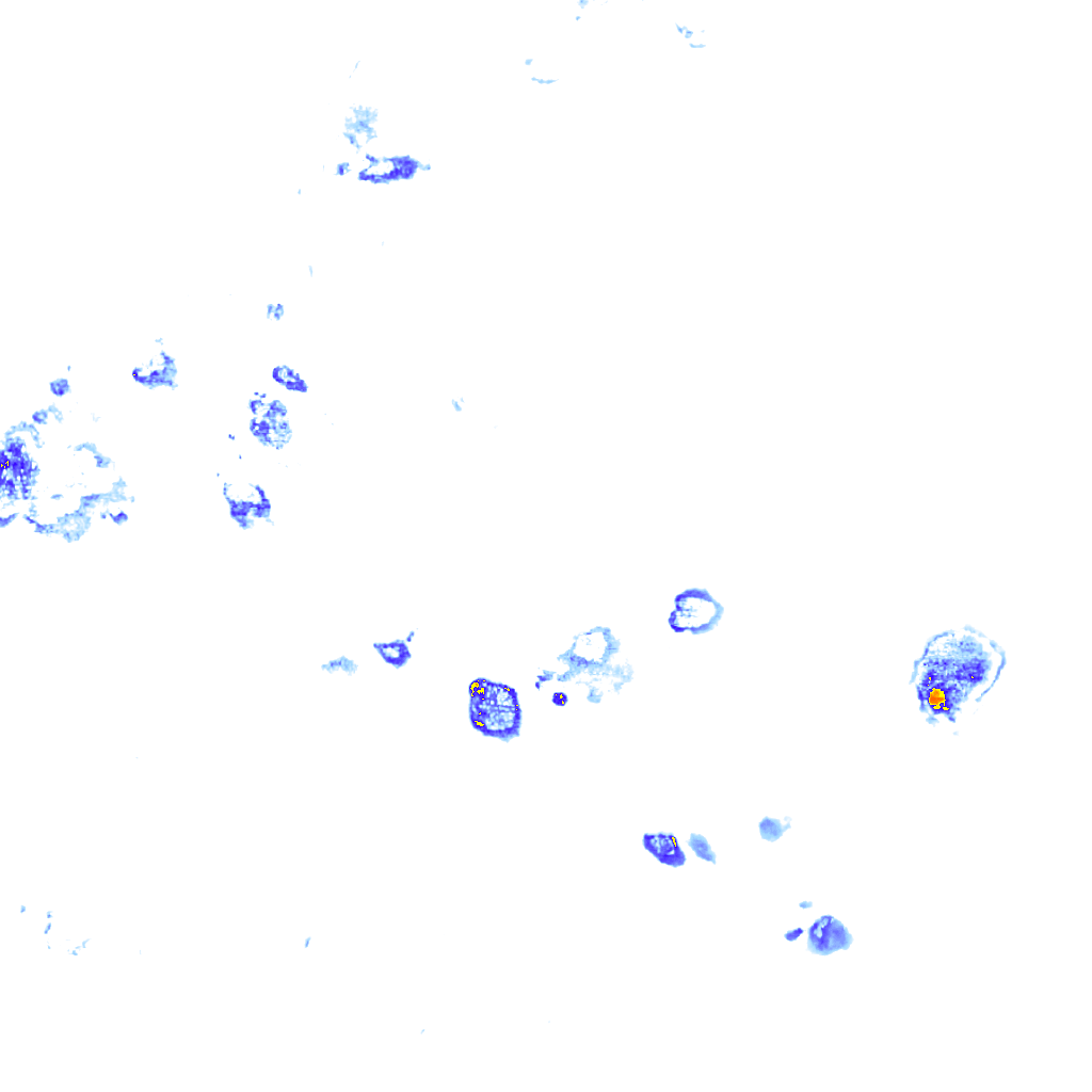 rainLayer