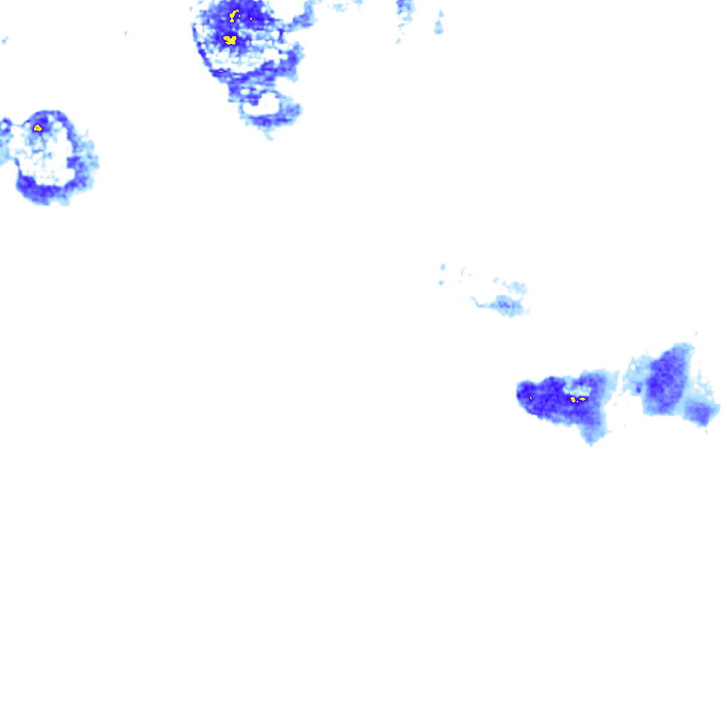 rainLayer