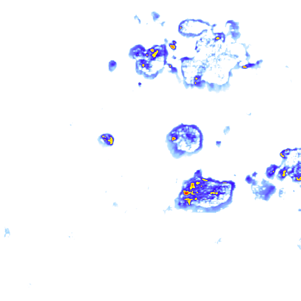 Image Layer