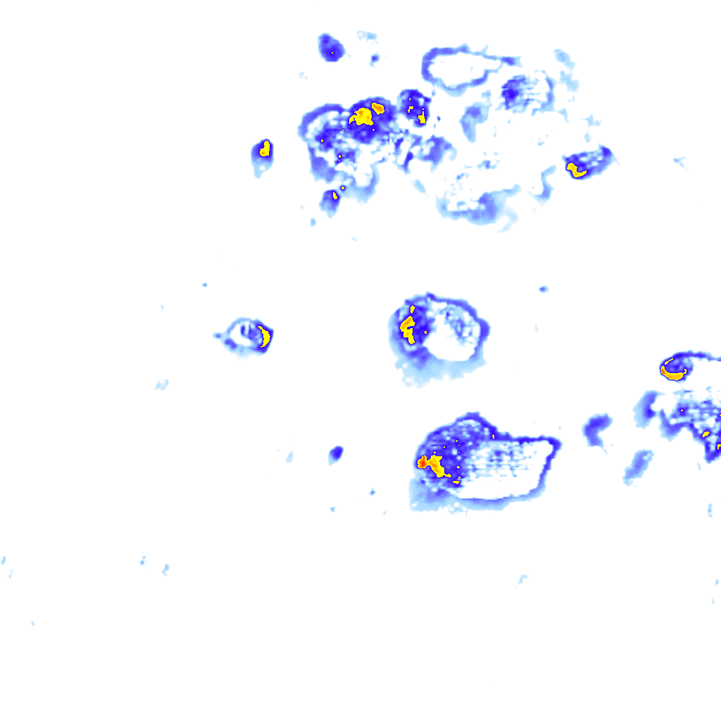 Image Layer