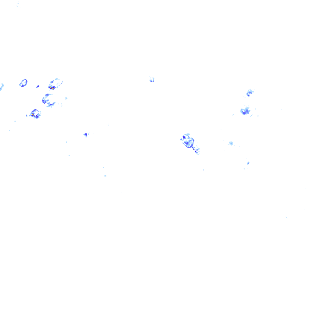 rainLayer