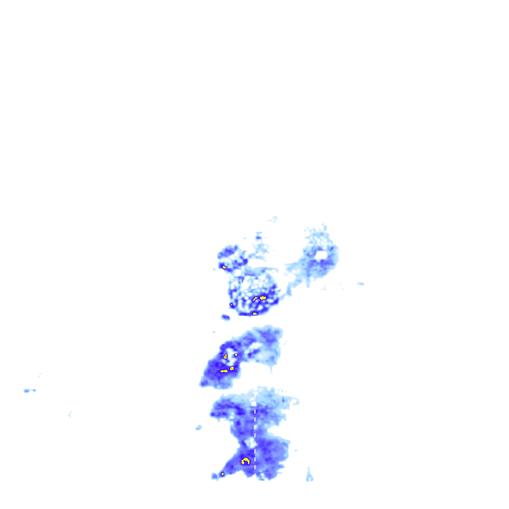 rainLayer