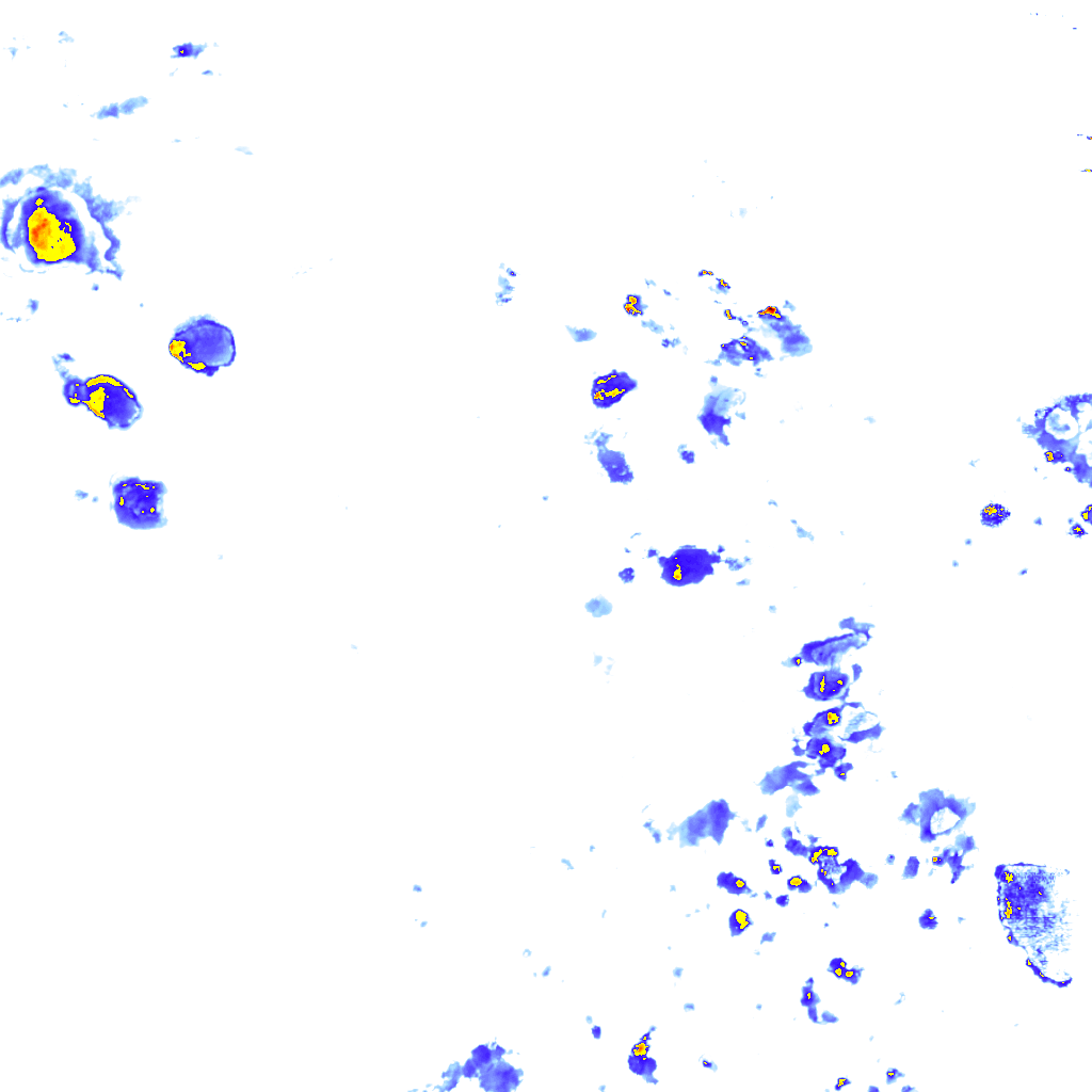 rainLayer