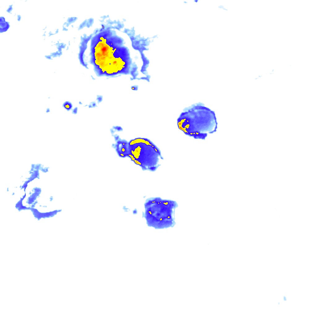 Image Layer