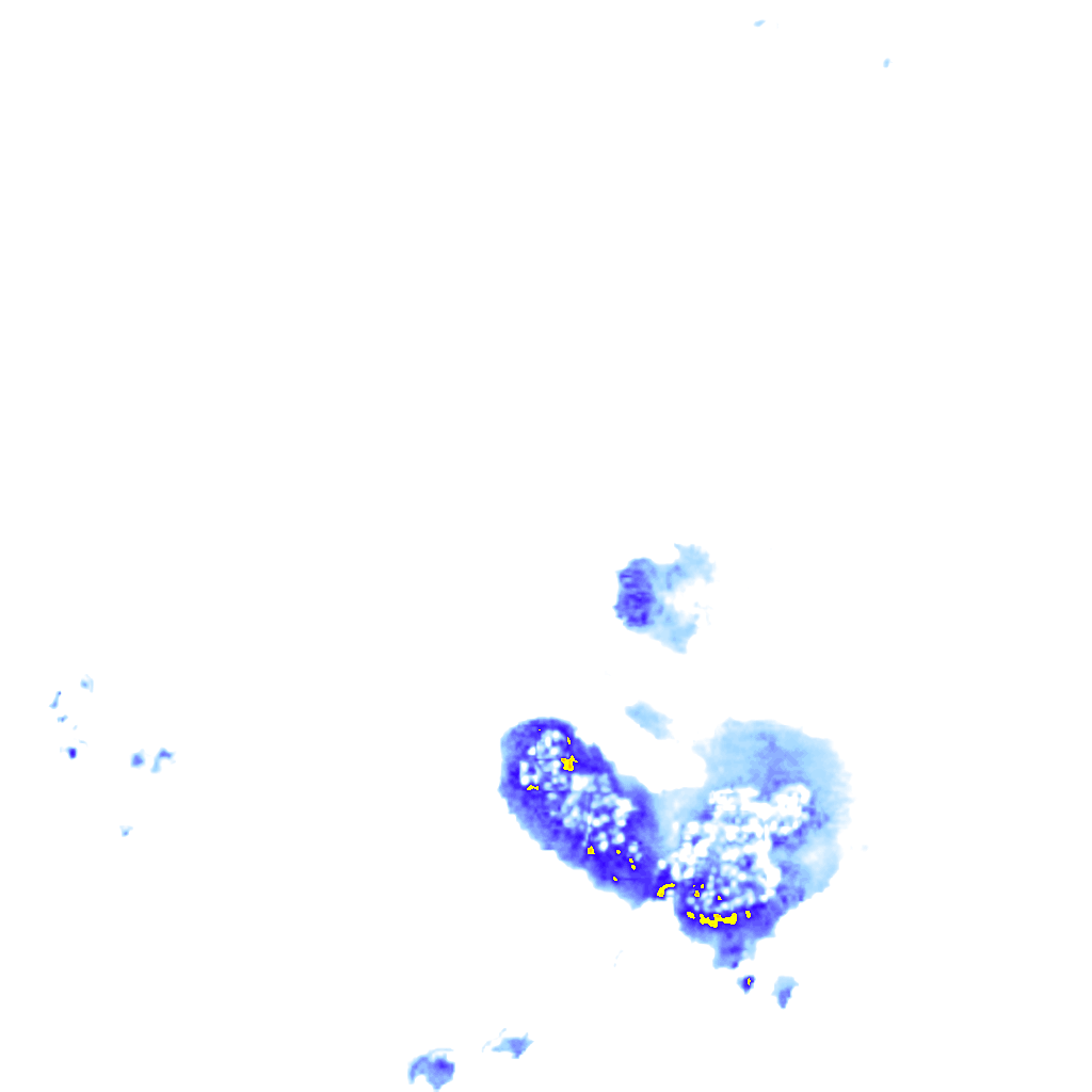 rainLayer