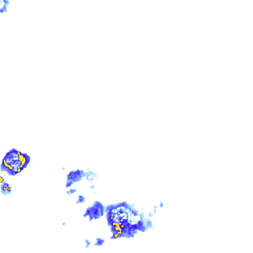 rainLayer