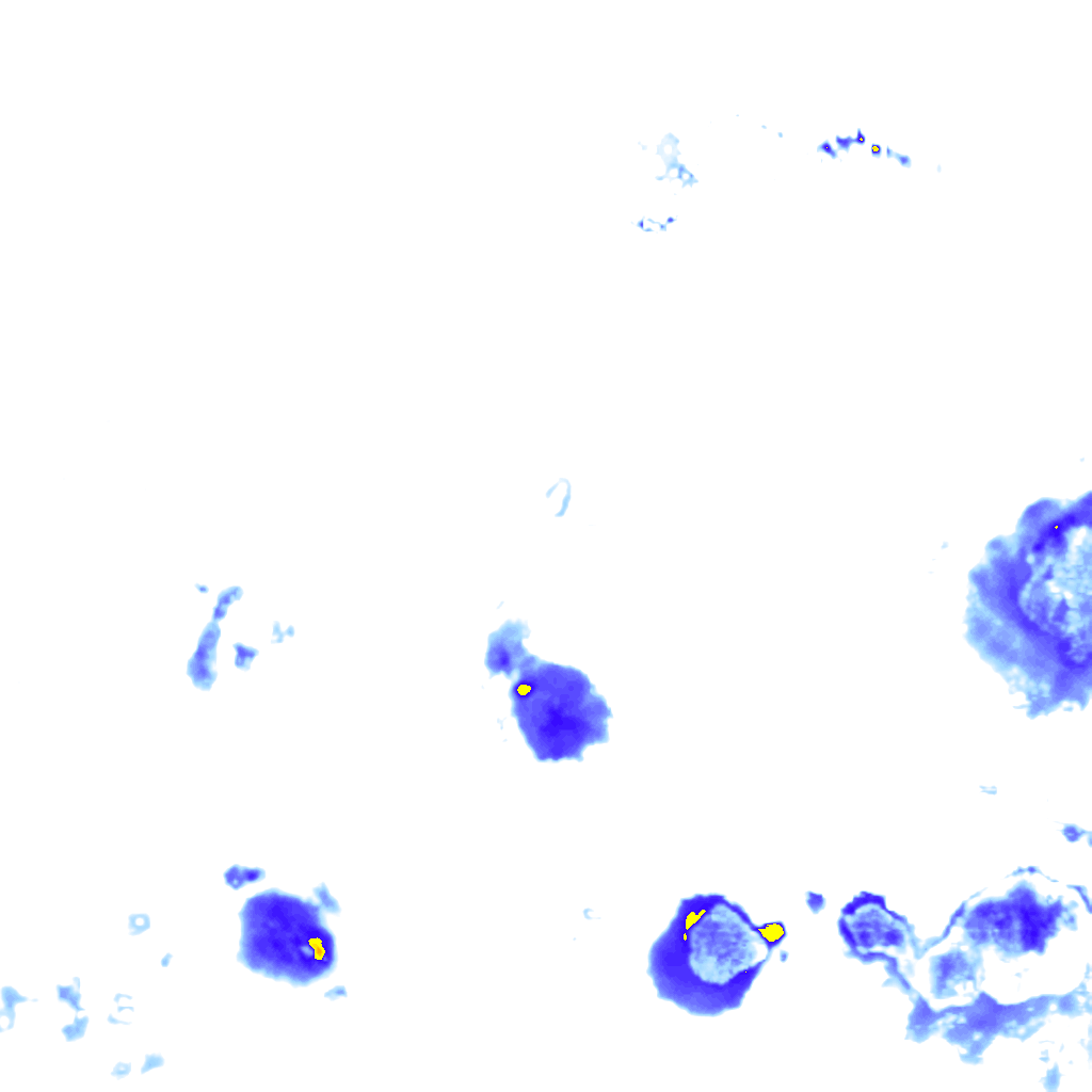 Image Layer