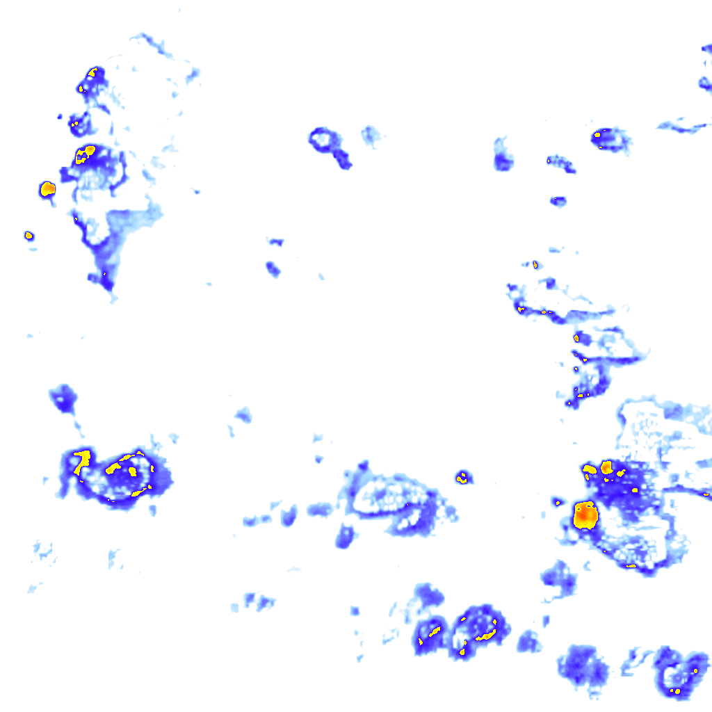 Image Layer