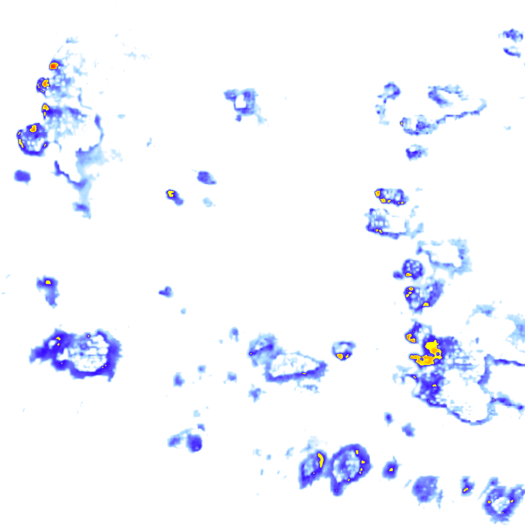rainLayer