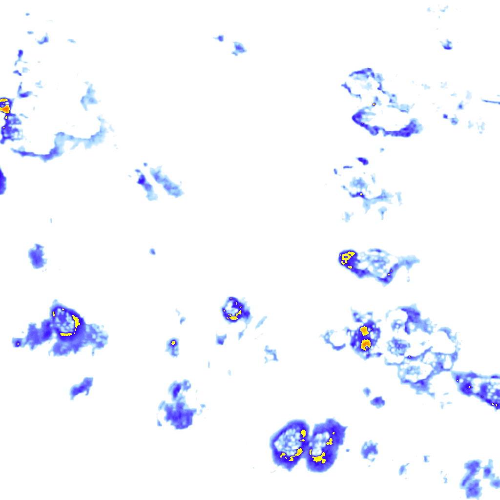 rainLayer