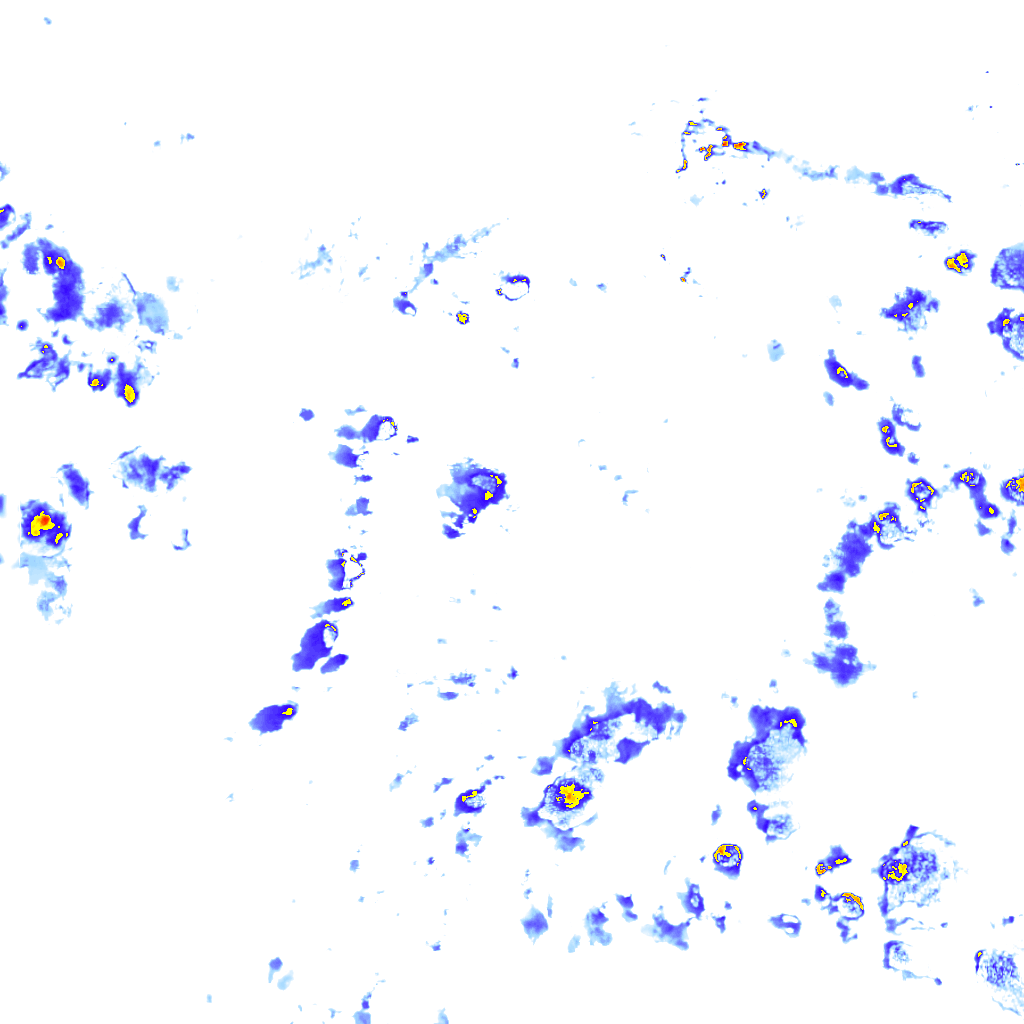 rainLayer