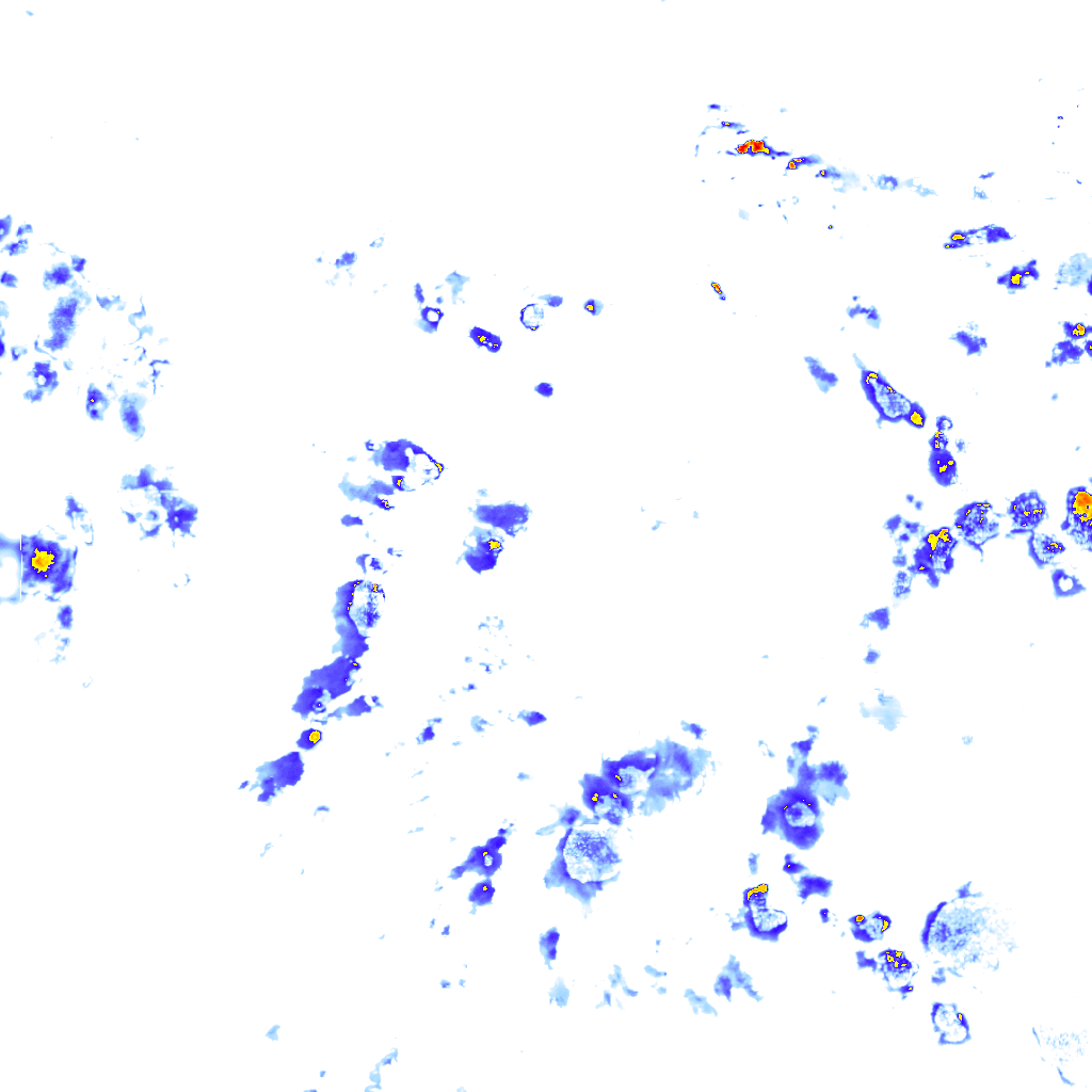 Image Layer