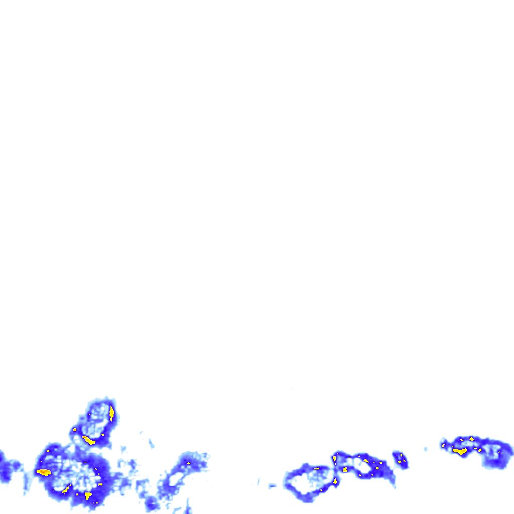 rainLayer