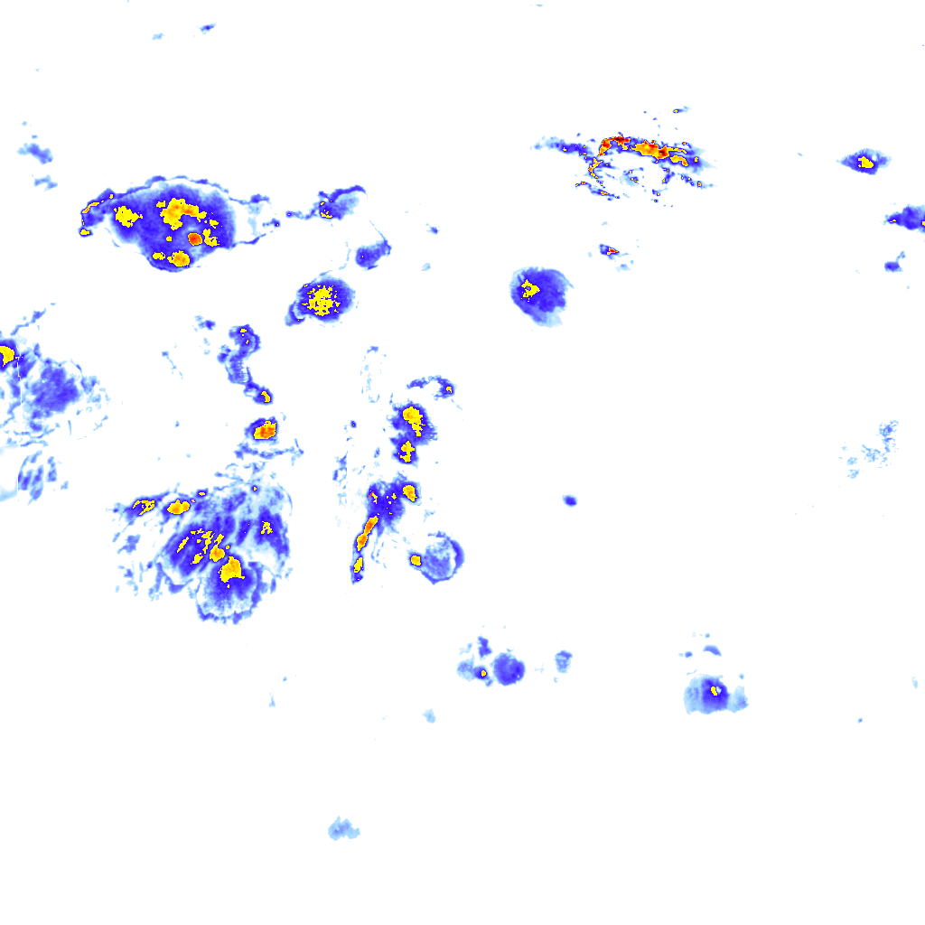 rainLayer