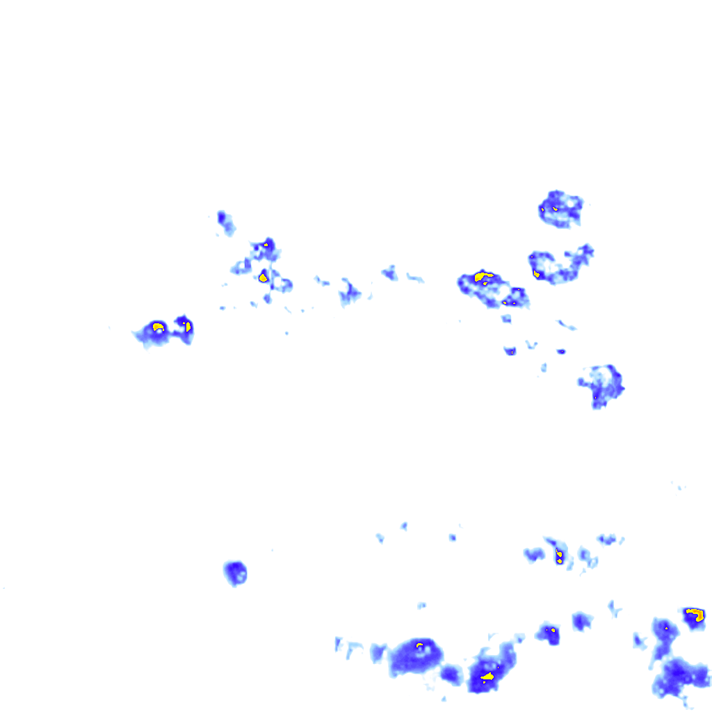 rainLayer