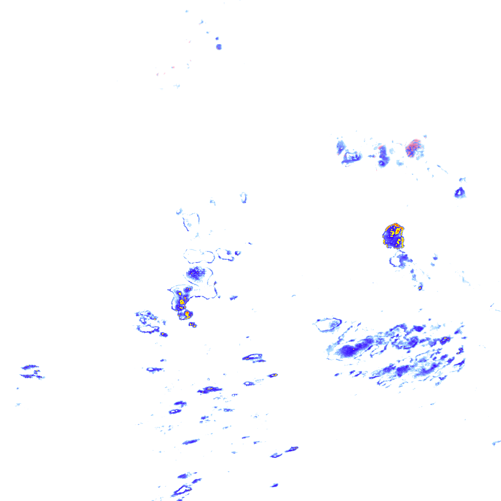 rainLayer