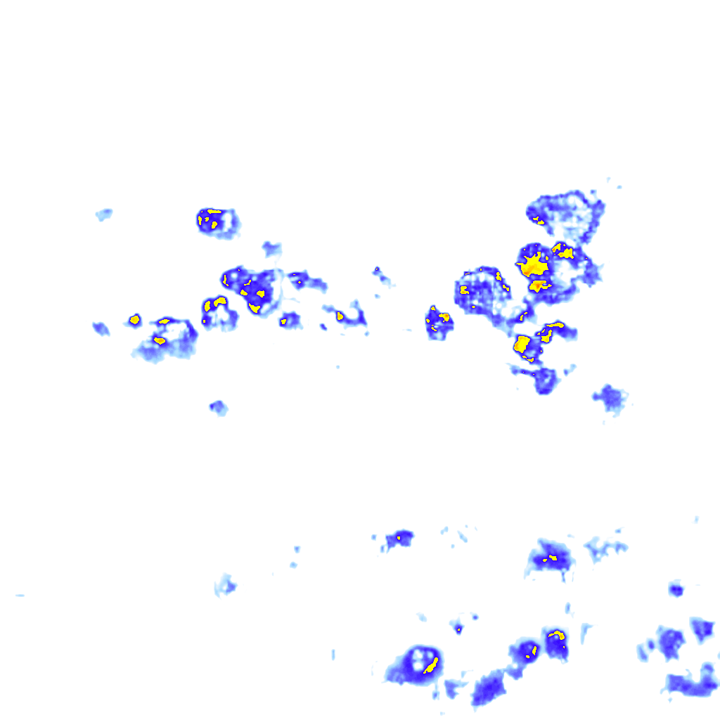 Image Layer