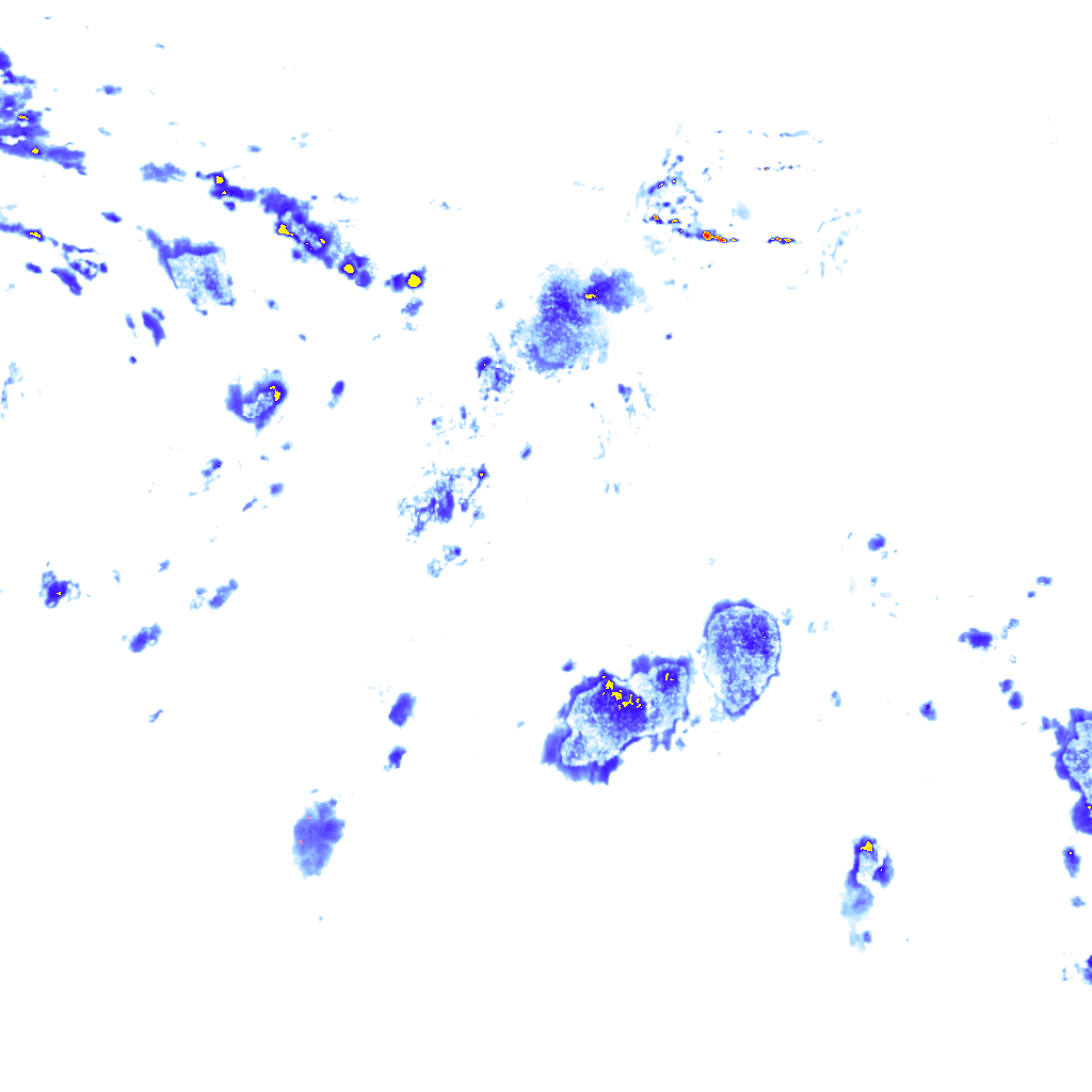 rainLayer