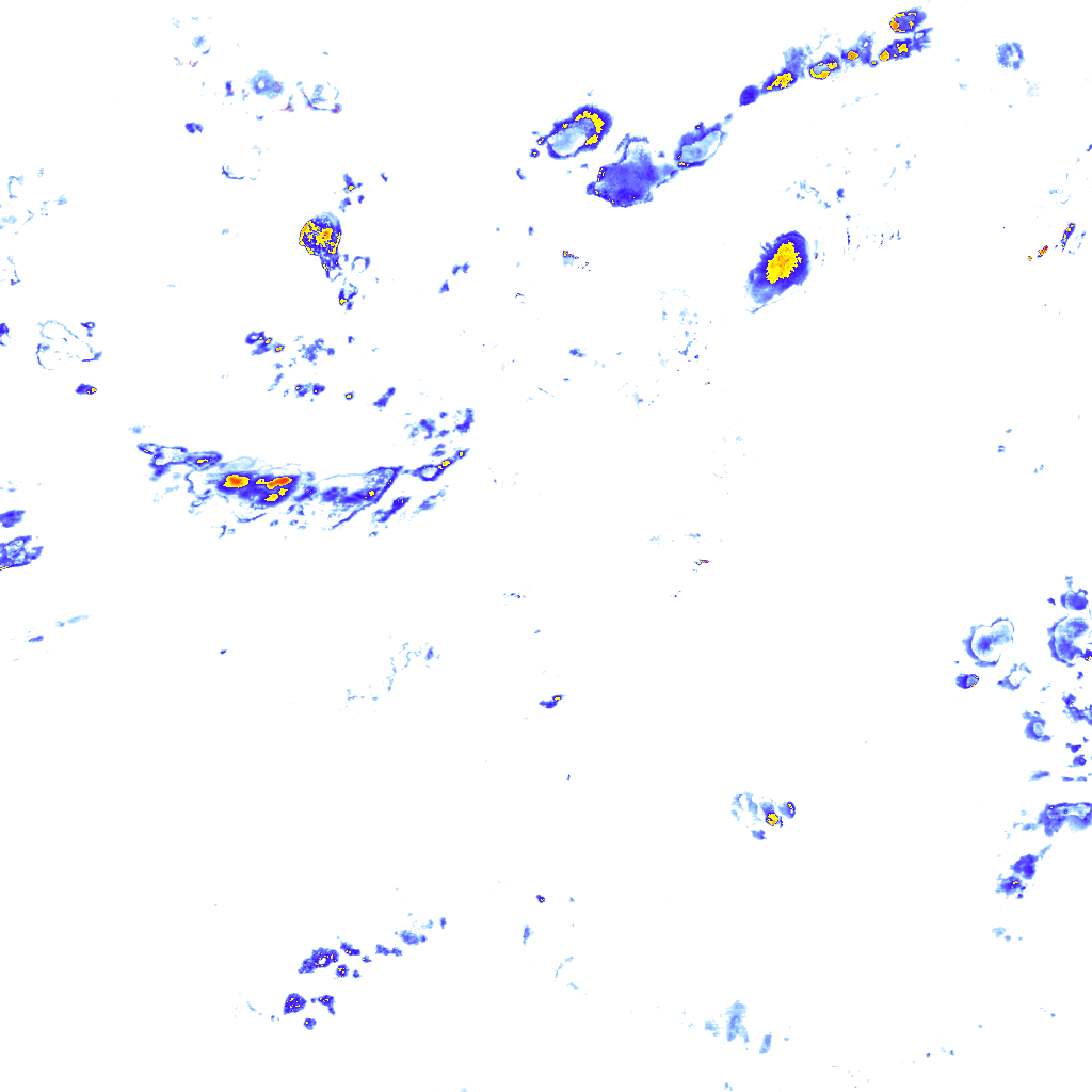 rainLayer