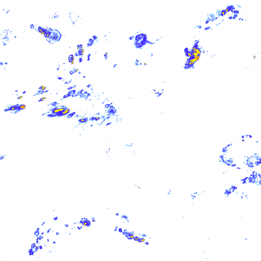 rainLayer