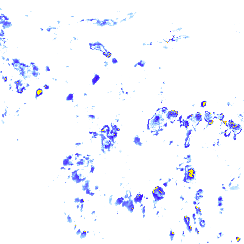 rainLayer