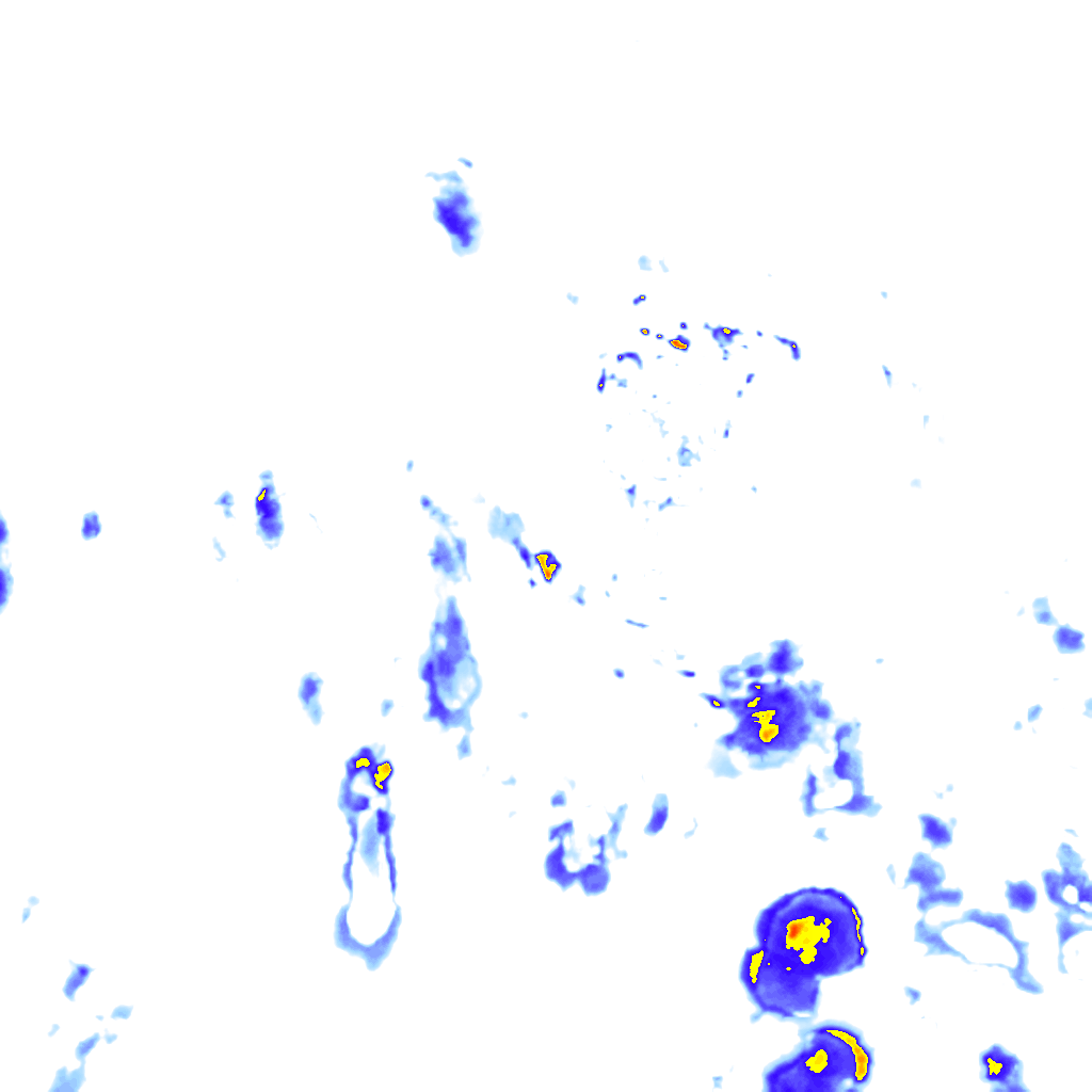 rainLayer
