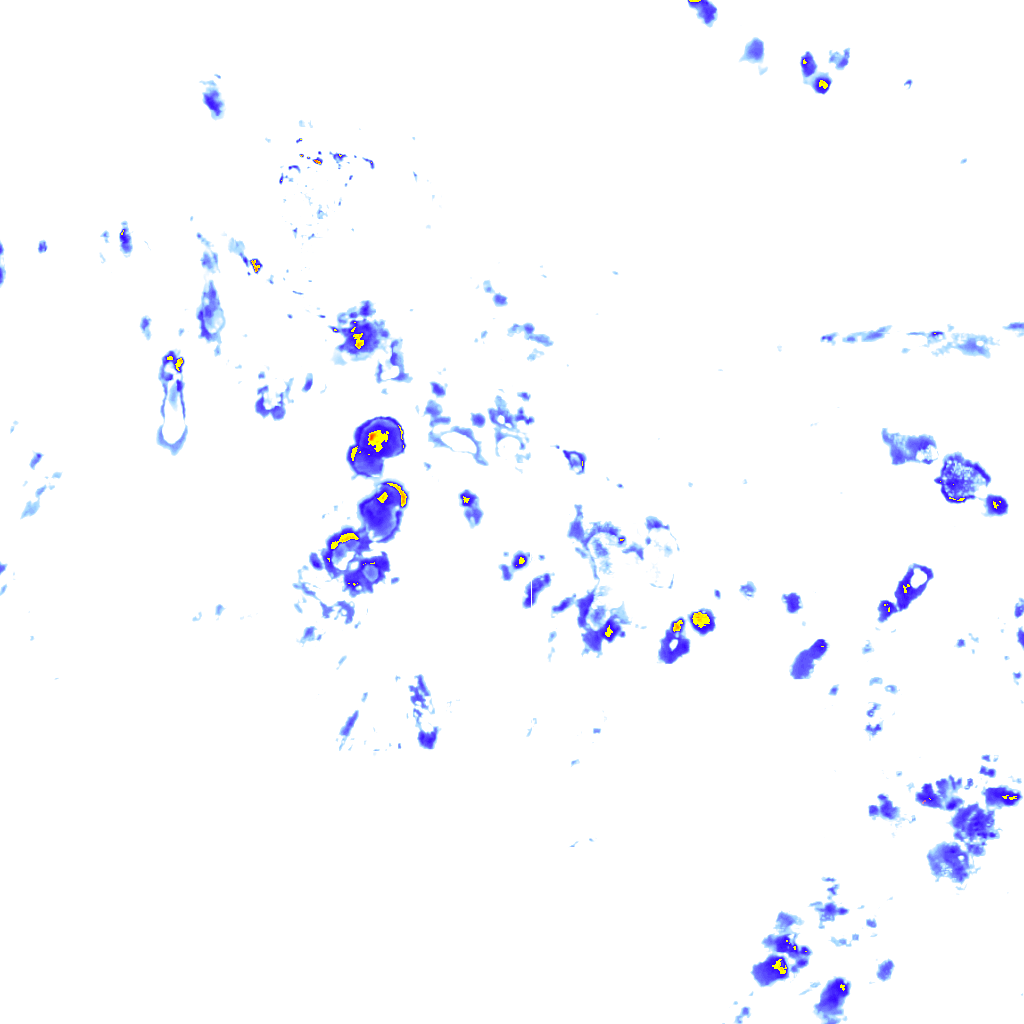 rainLayer