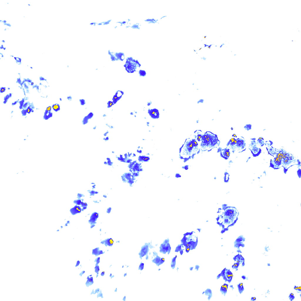 Image Layer