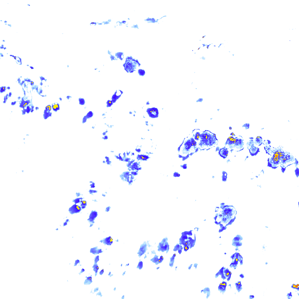 Image Layer