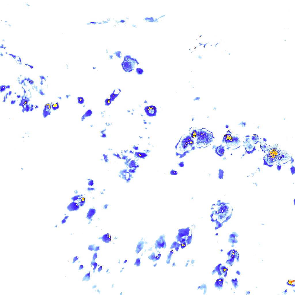 Image Layer