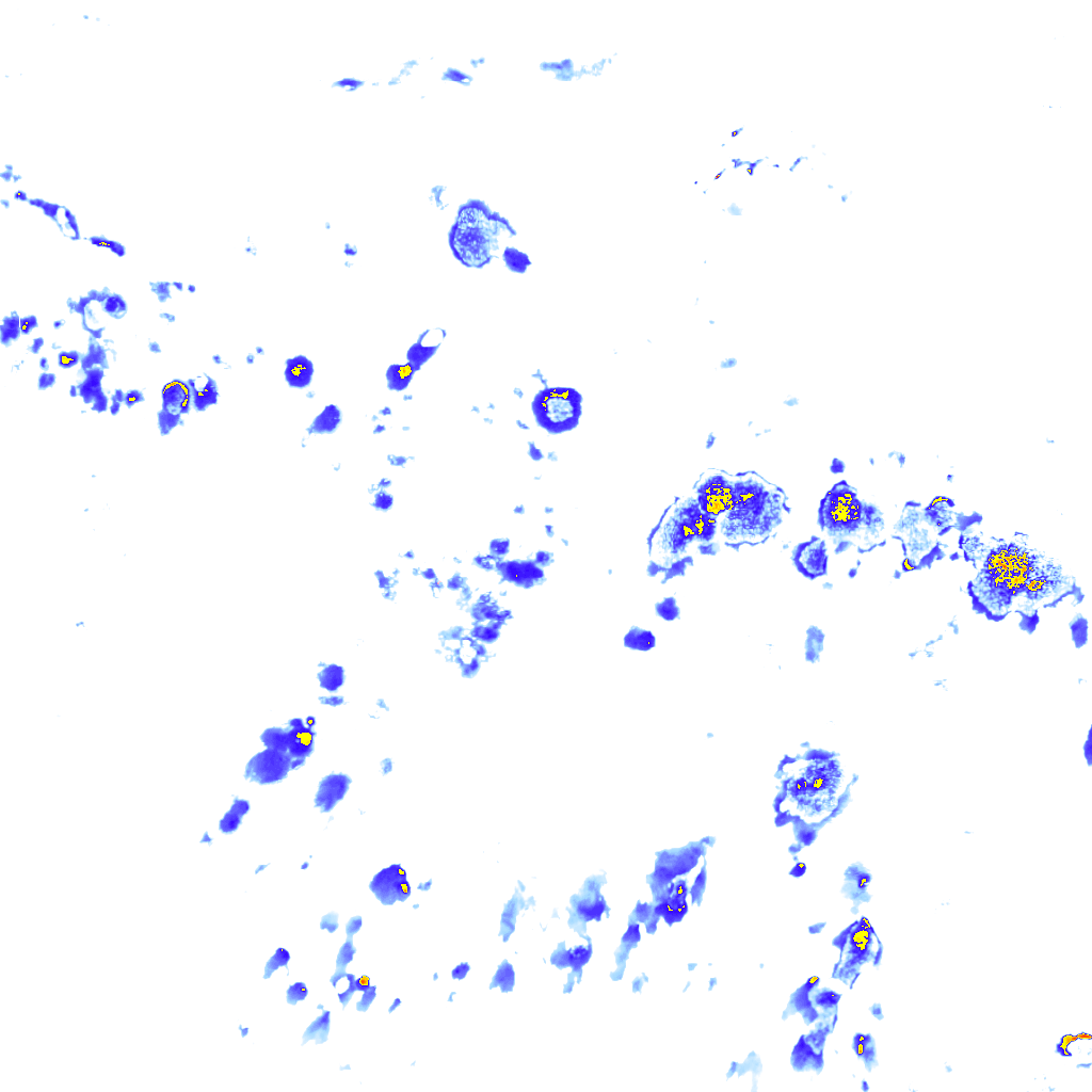 Image Layer