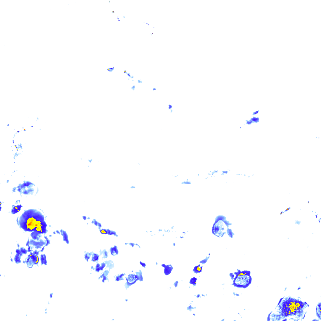 rainLayer