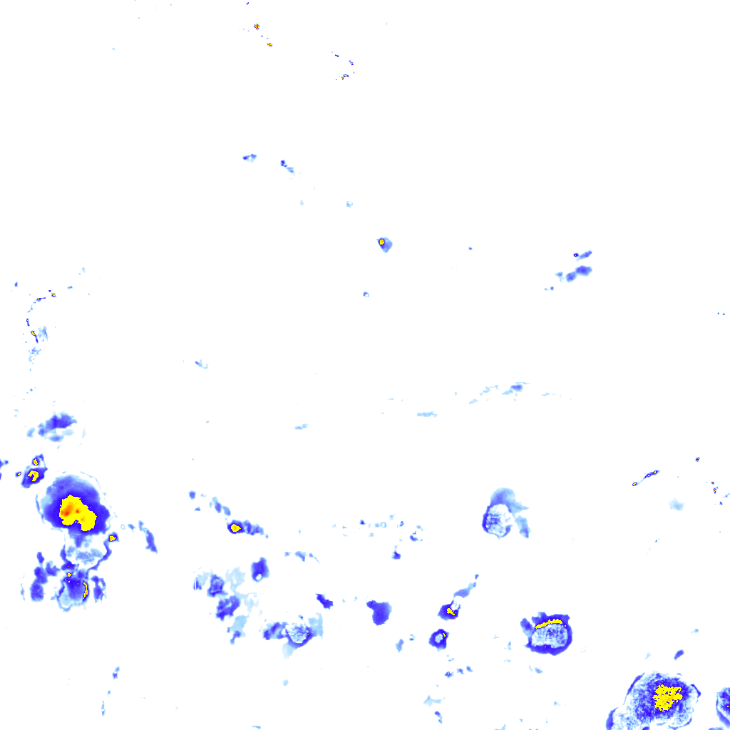 Image Layer