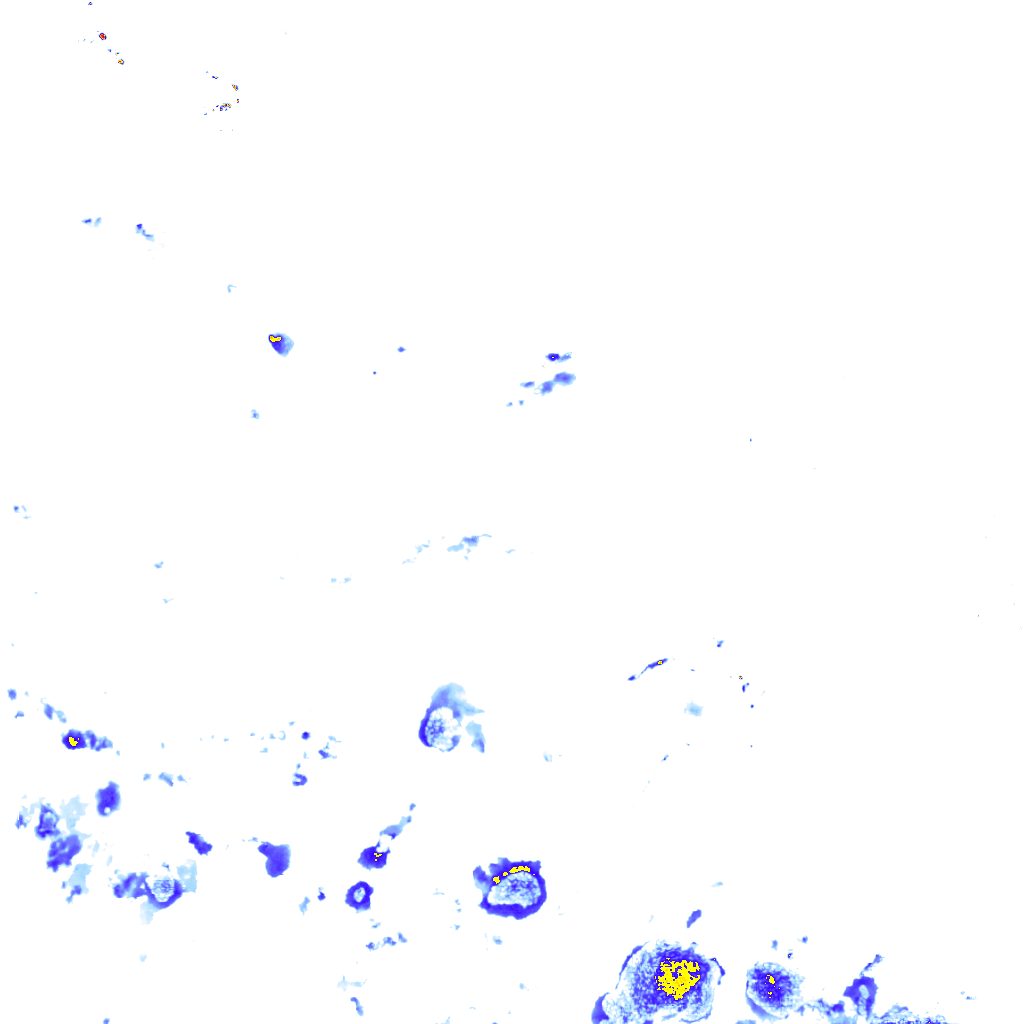 rainLayer