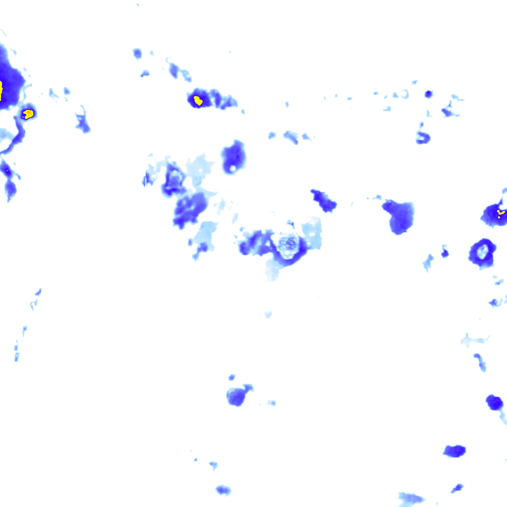 Image Layer