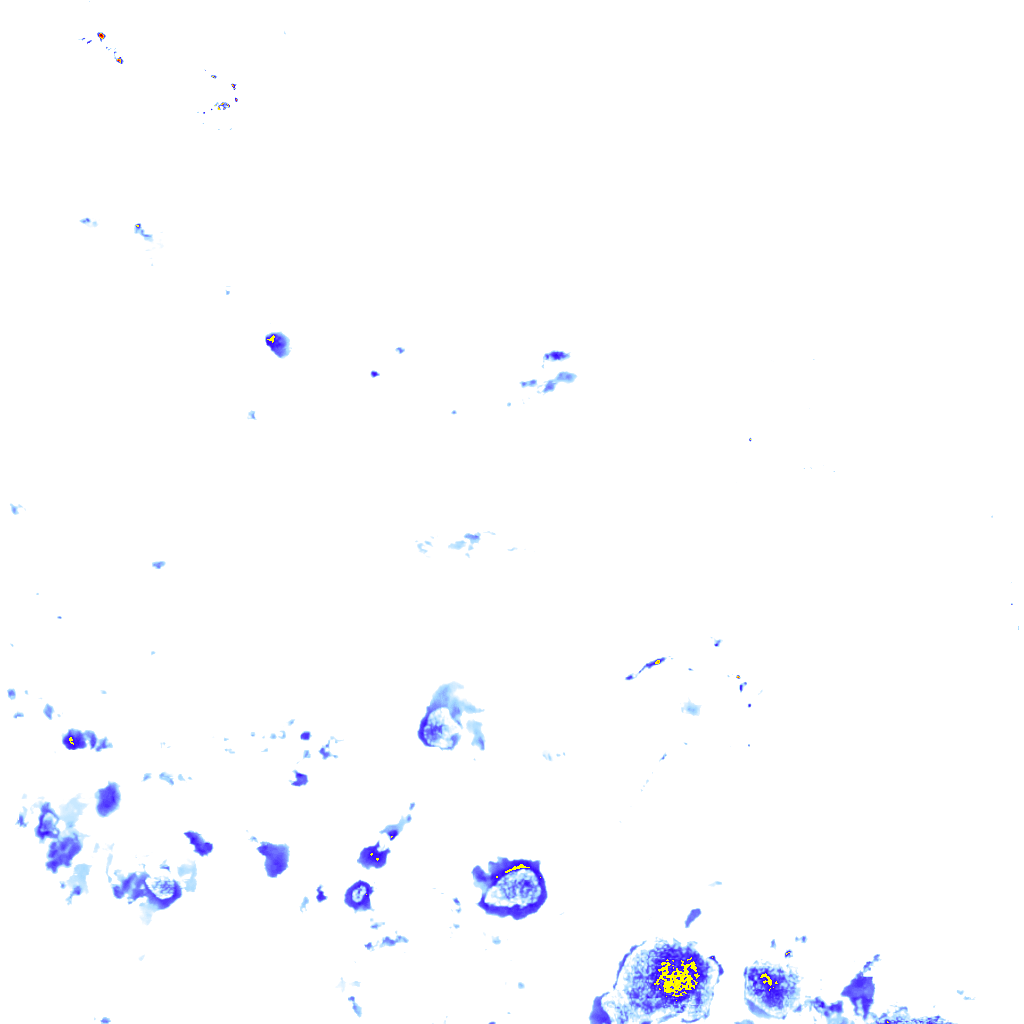 rainLayer