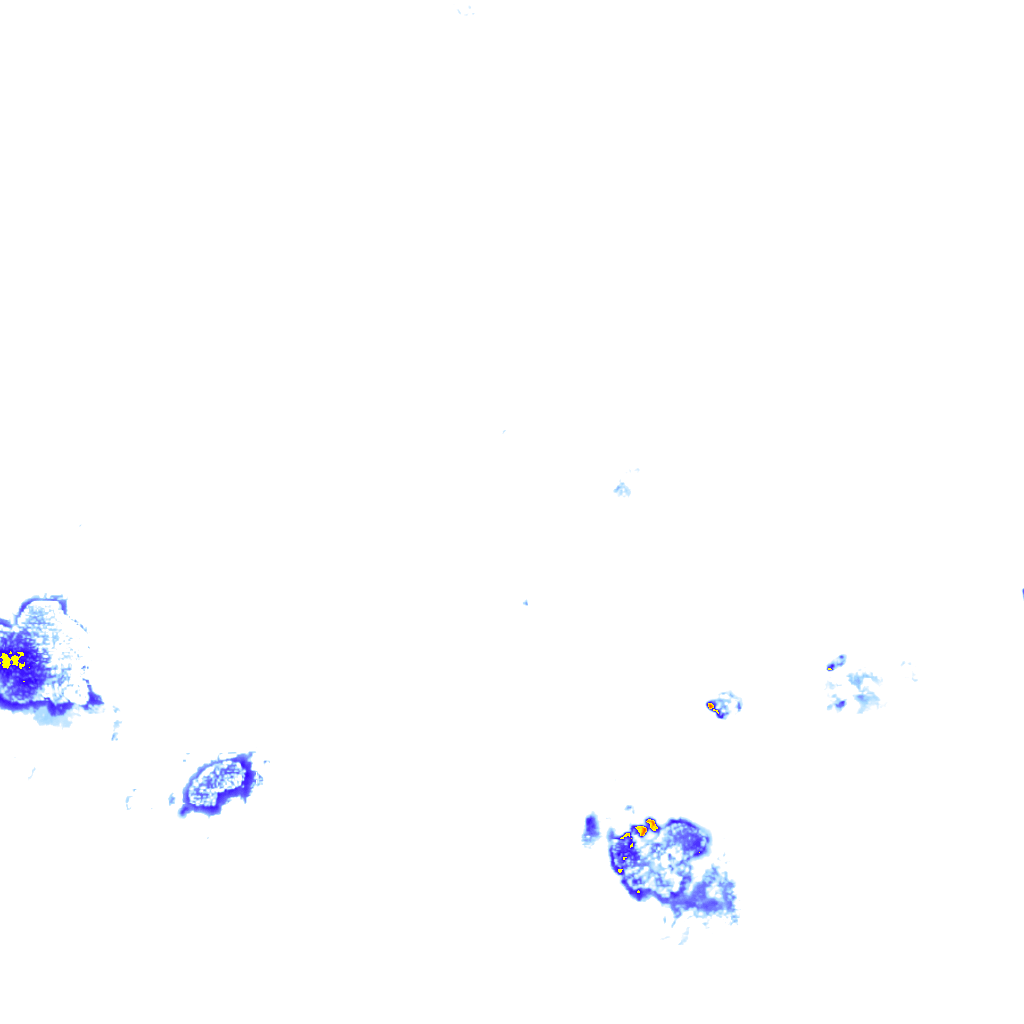 rainLayer