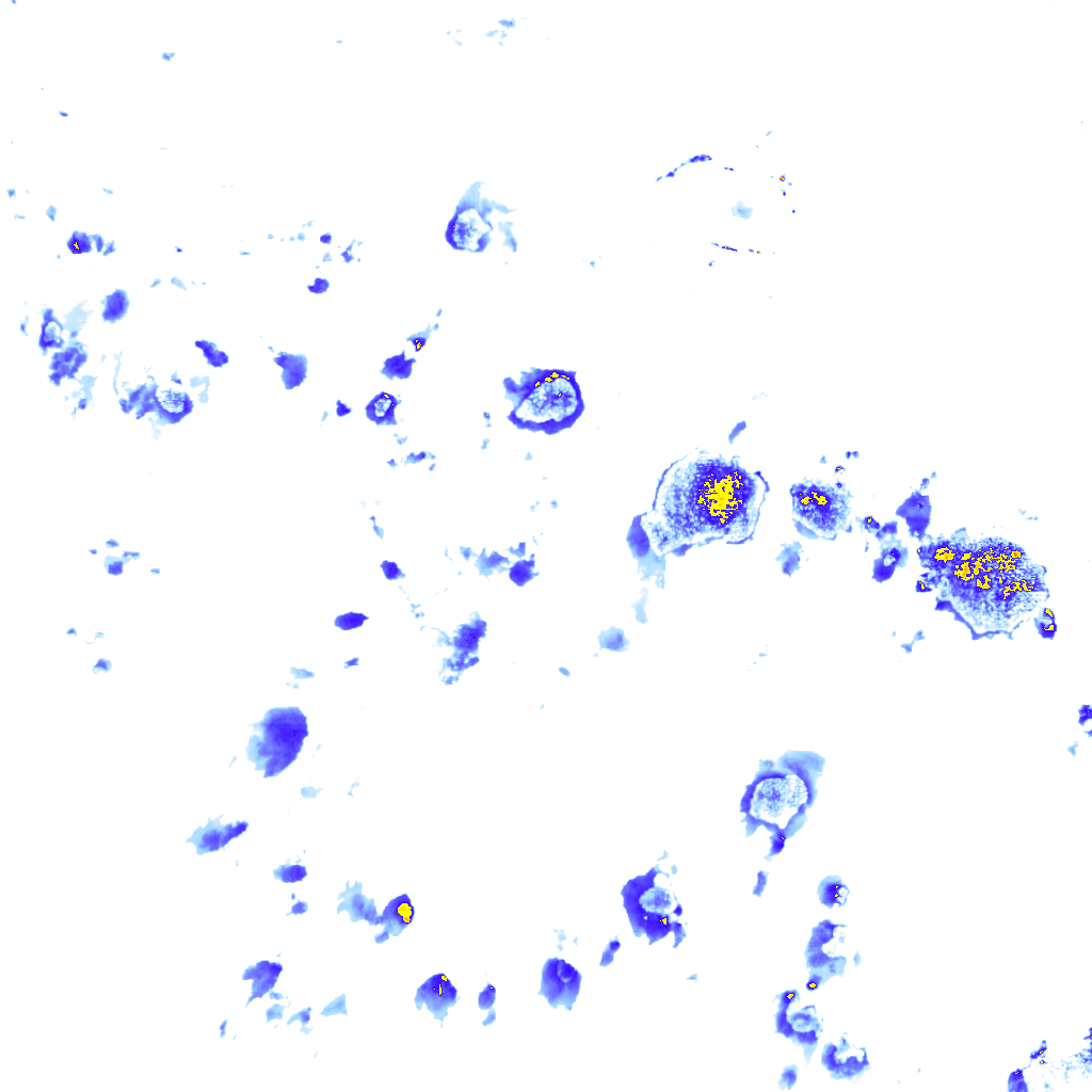 rainLayer