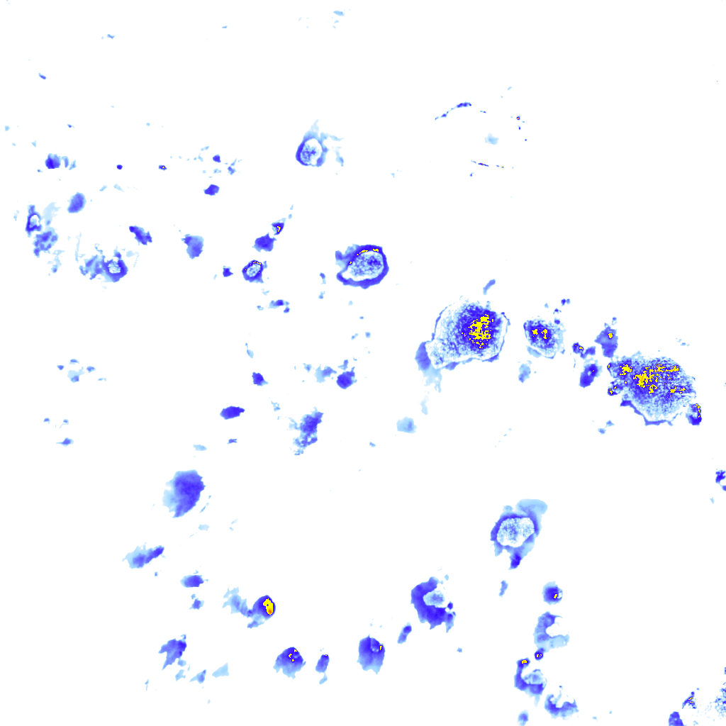 rainLayer
