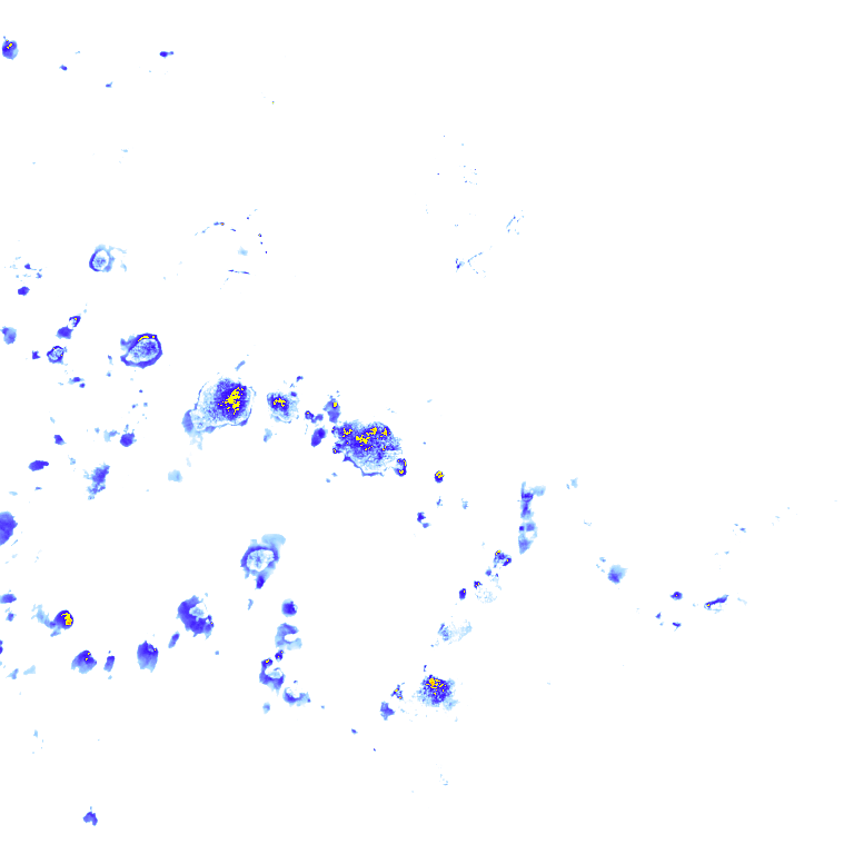 rainLayer