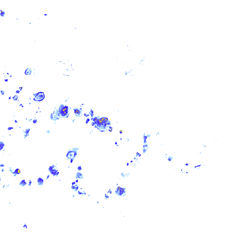 rainLayer