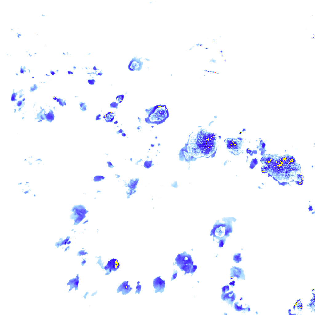 rainLayer