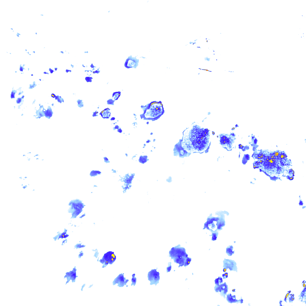 rainLayer